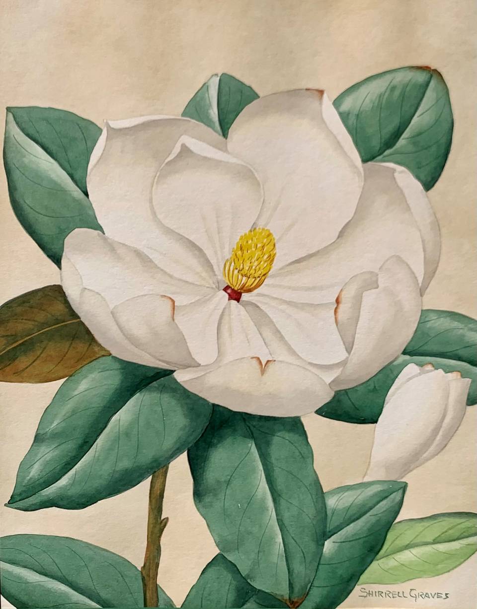 Shirrell W. Graves Magnolia - Hawthorne Fine Art