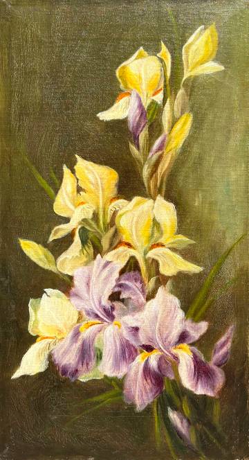 Emma L. Bartlett Irises