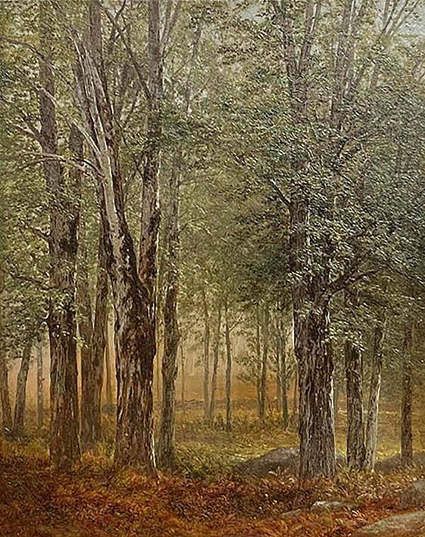 John William Casilear Woodland Scene