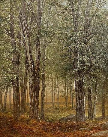 John William Casilear Woodland Scene