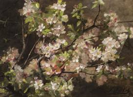 Sophie Ley (1849 - 1918)
Apple Blossoms
Oil on canvas mounted on board
19 7/8 x 26 5/8 inches
Signed and dated 1893, lower right Sophie Ley Apple Blossoms Unframed