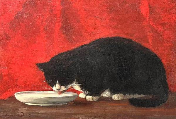Agnes Augusta Bartlett Brown (1847–1932) Kitten