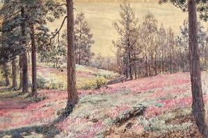 Anna Mary Richards Brewster Heather and Pine – Sussex, England, 1896