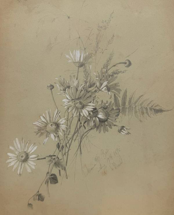 Marion “Minnie” Robertson Beers Brush
Daisies