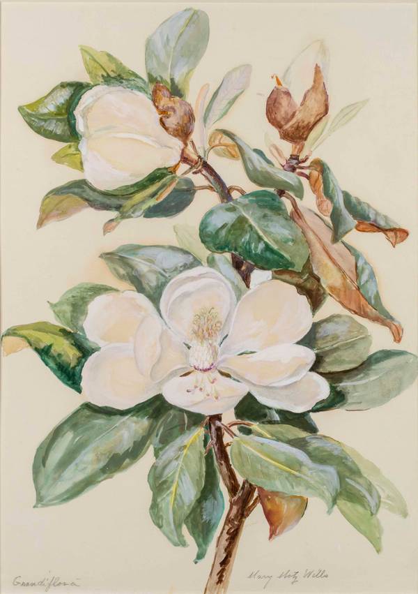 Mary Motz Wills Grandi Flora, Magnolia Flower unframed