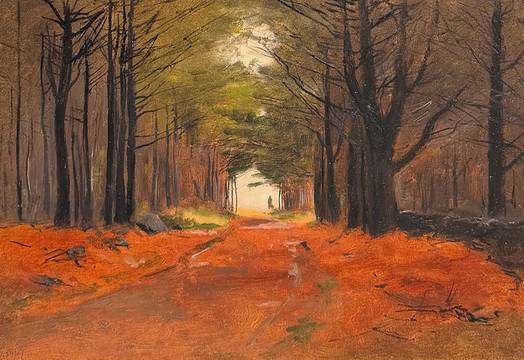 Lockwood DeForest Wooded Path, Maine