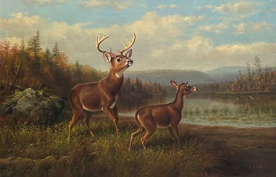 Arthur Fitzwilliam Tait Startled, 1888