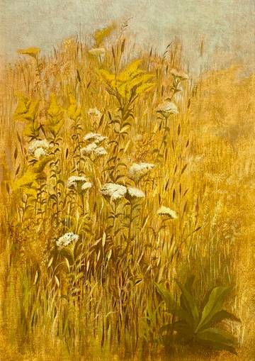 Julie Hart Beers Queen Anne’s Lace