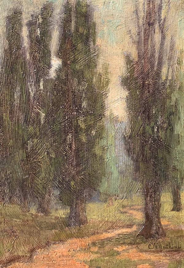 Catherine W. Watkins Michigan Poplars