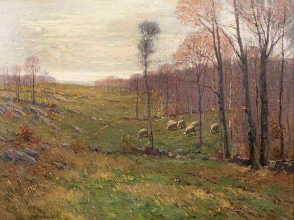 William S. Robinson (1861-1945)
Sheep in Meadow
Oil on unlined canvas
30 x 36 inches
Signed lower left William S. Robinson Sheep in Meadow Unframed