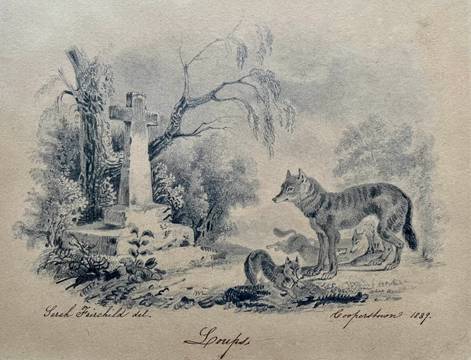 Sarah Fairchild Loups (Wolves)