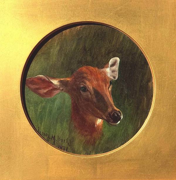 James McDougal Hart Portrait of a Deer, 1871
