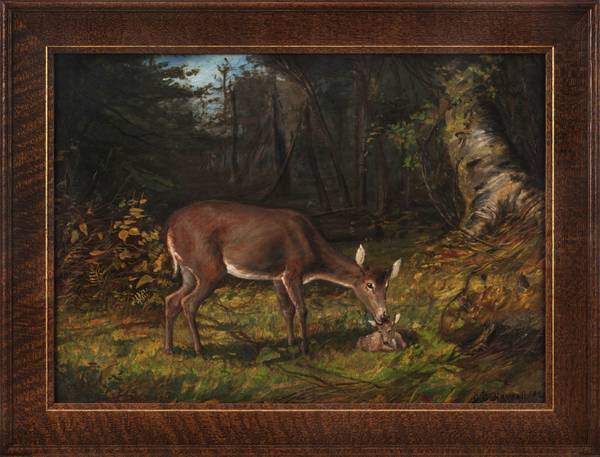 George Glenn Newell Deer in a Woodland Landscape Framed