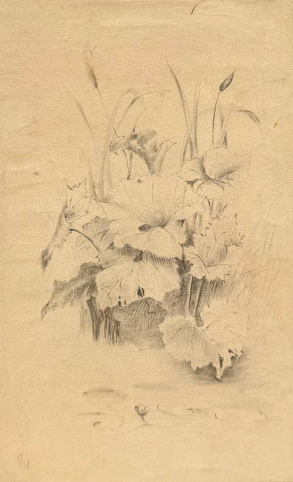Marion “Minnie” Robertson Beers Brush 
Lily – Marsh Scene