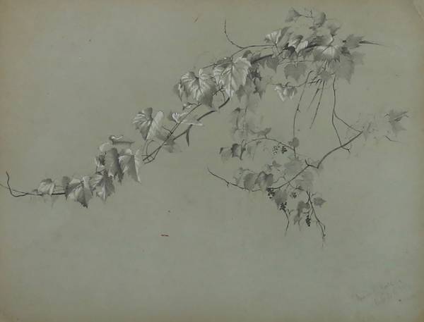 Marion “Minnie” Robertson Beers Brush Ivy 