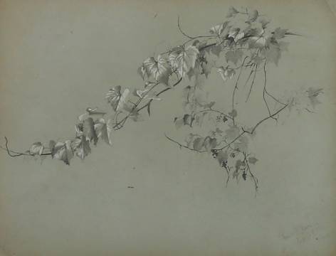 Marion “Minnie” Robertson Beers Brush Ivy 
