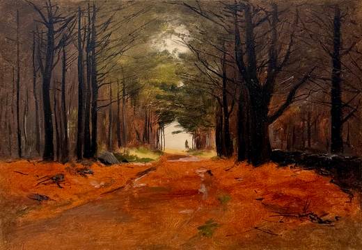 Lockwood DeForest Wooded Path, Maine