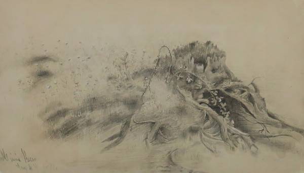 Marion “Minnie” Robertson Beers Brush
Nature Study