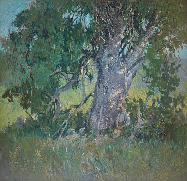 Walter Griffin Under the Shade of the Old Tree