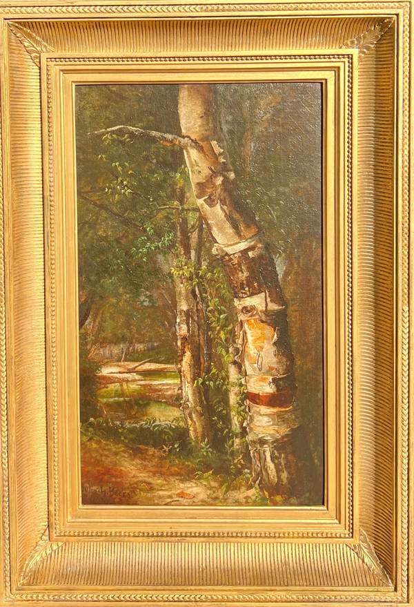 Julie Hart Beers (1835-1913) Birch Tree beside a Woodland Path Oil on canvas 19 1/4 x 11 1/4 inches Signed lower left Julie Hart Beers Birch Tree beside a Woodland Path