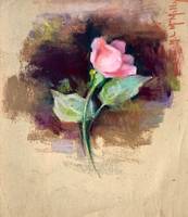 Mary Lane McMillan Rose Study, c. 1965 unframed