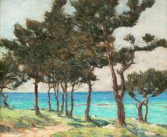 Clark Greenwood Voorhees Cedar Trees at Whale Bay