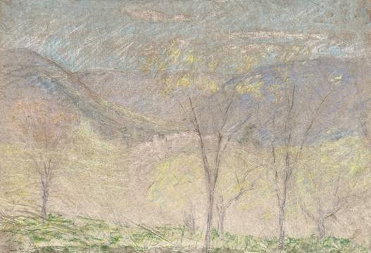 Carolyn Campbell Mase Mountain Landscape
