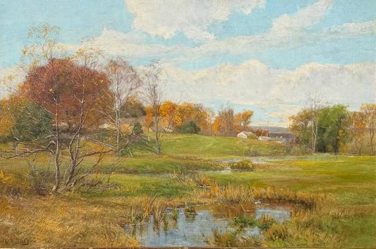 Olive Parker Black Early Autumn Meadow