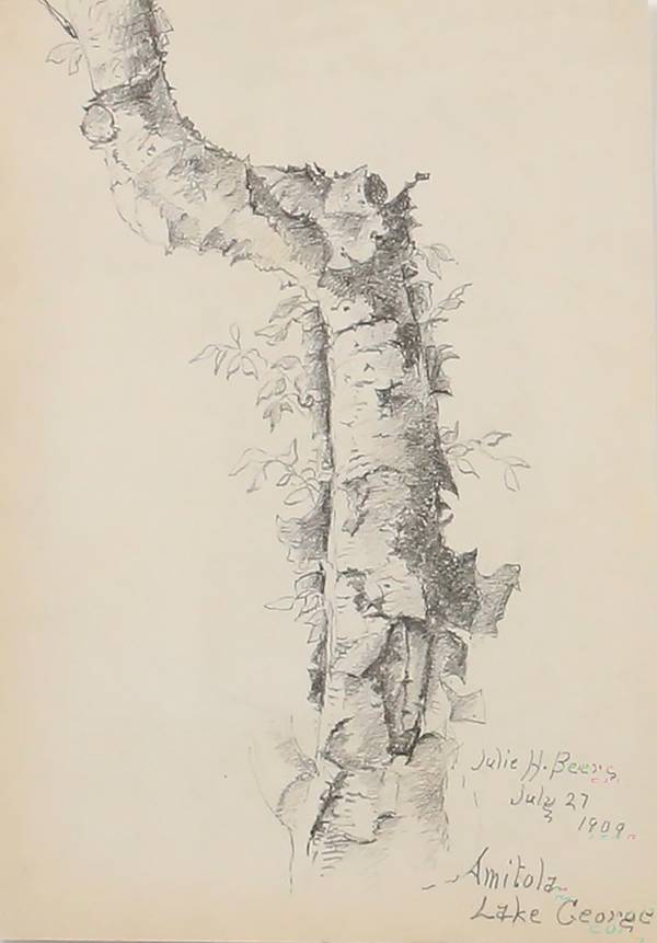 Julie Hart Beers Amitola, Lake George (Birch Tree Sketch), 1909