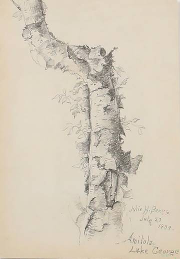 Julie Hart Beers Amitola, Lake George (Birch Tree Sketch), 1909