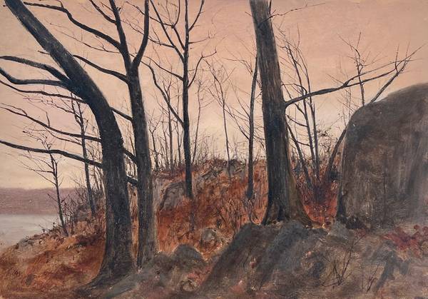 Lockwood DeForest Winter Trees