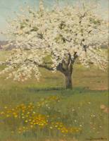 CLARA PERRY (1870-1941)
Tree in Bloom
Oil on board
14 x 11 inches
Signed lower right PERRY_Tree_Unframed.jpg