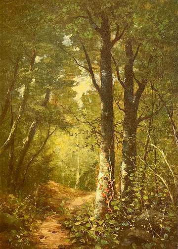 William Ongley Through the Woods