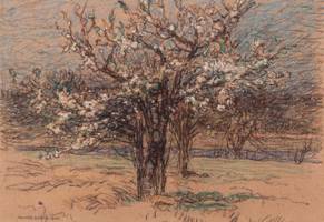 Walter Griffin (1876-1937)
Orchard in Blossom, 1904
Pastel on paper
11 x 14 inches
Signed lower left Walter Griffin Orchard in Blossom Unframed