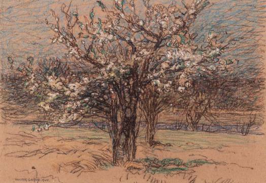 Walter Griffin Orchard in Blossom Unframed
