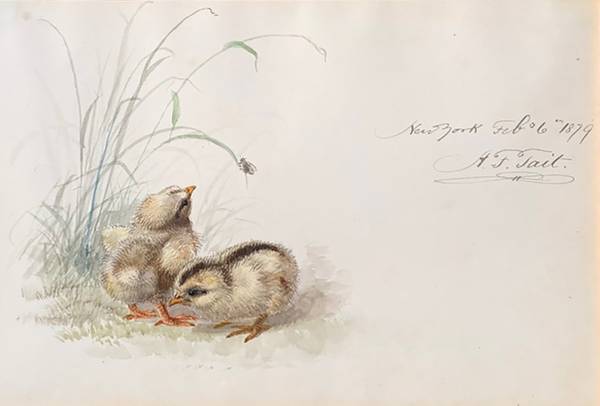 Arthur Fitzwilliam Tait Two Baby Chicks, February 6, 1879