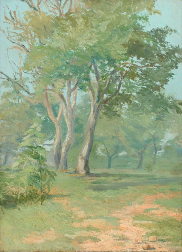 Mary L. Haines (1866-1951)
Tree Landscape
Oil on canvas
22 1/8 x 16 inches Mary L. Haines Tree Landscape