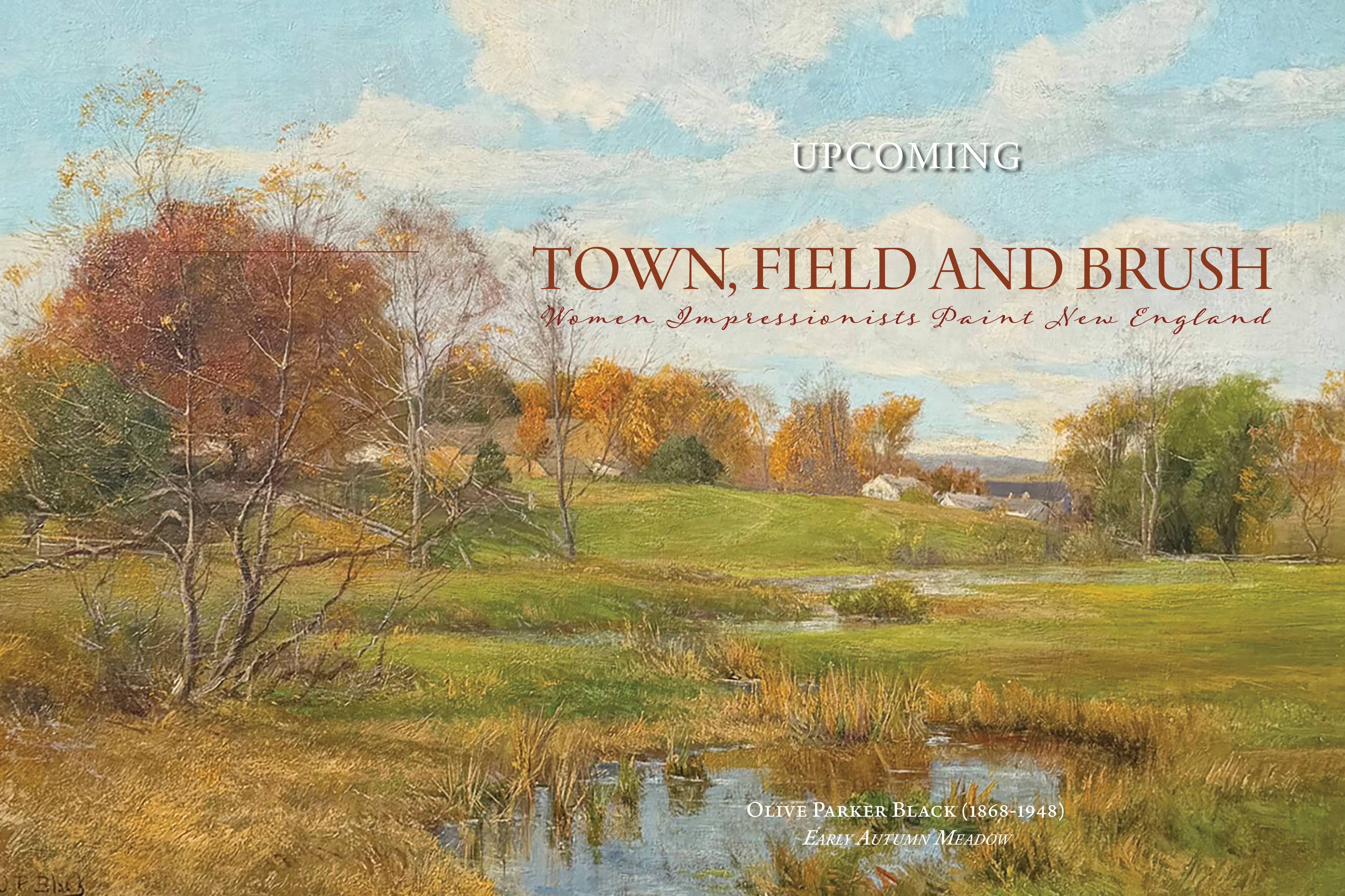 Town, Field and Brush