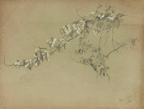 Marion “Minnie” Robertson Beers Brush 
Ivy