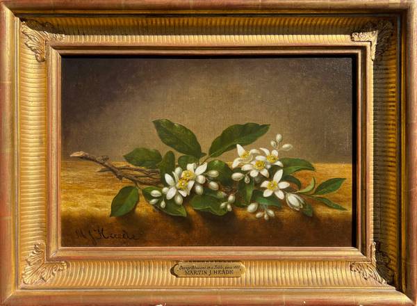 Martin Johnson Heade Orange Blossoms on a Table, c. 1880