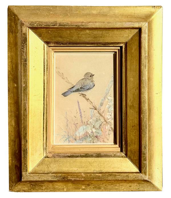 Fidelia Bridges Bluebird