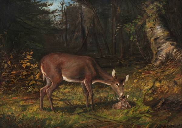 George Glenn Newell Deer in a Woodland Landscape Unframed