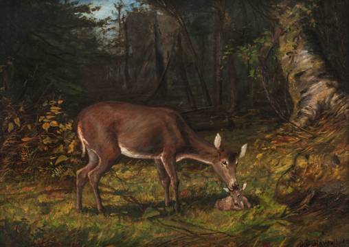 George Glenn Newell Deer in a Woodland Landscape Unframed