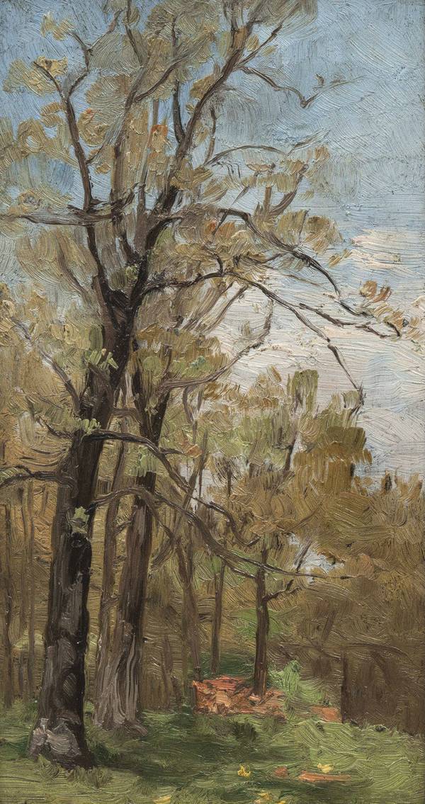 ADELE FRANCES BEDELL (1861-1957)
Landscape with Tree (recto)
Oil on panel
3 7/16 x 6 1/4 inches
Unsigned Adele Frances Bedell Landscape With Tree (recto) Unframed