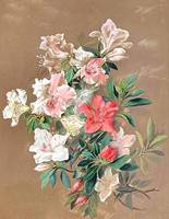 Anna S. Fisher Branch of Azaleas