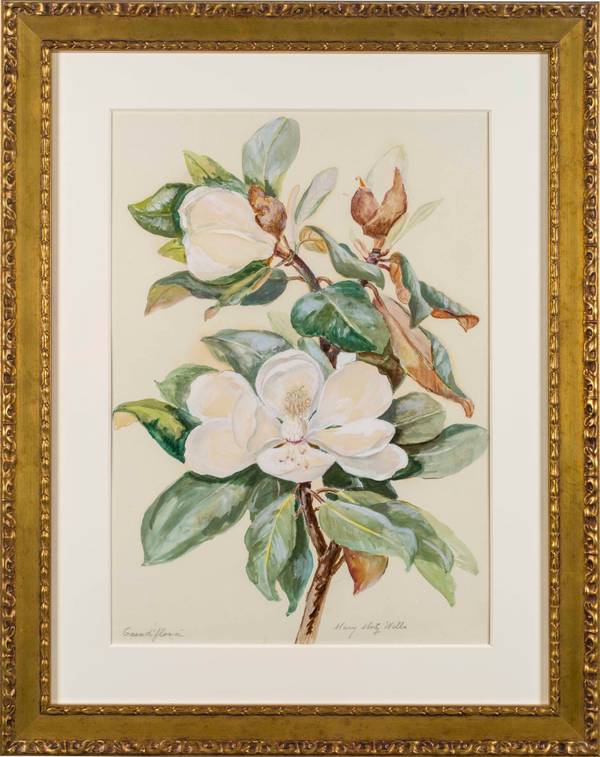 MARY MOTZ WILLS (1875-1961)
Grandi Flora, Magnolia Flower
Watercolor on paper
21 ½ x 15 inches
Signed lower right Mary Motz Wills Grandi Flora, Magnolia Flower framed
