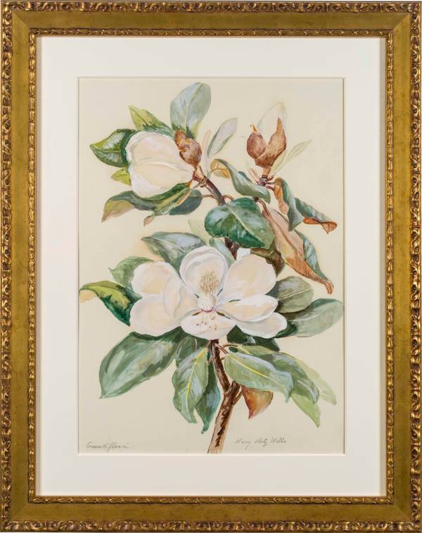 Mary Motz Wills Grandi Flora, Magnolia Flower framed