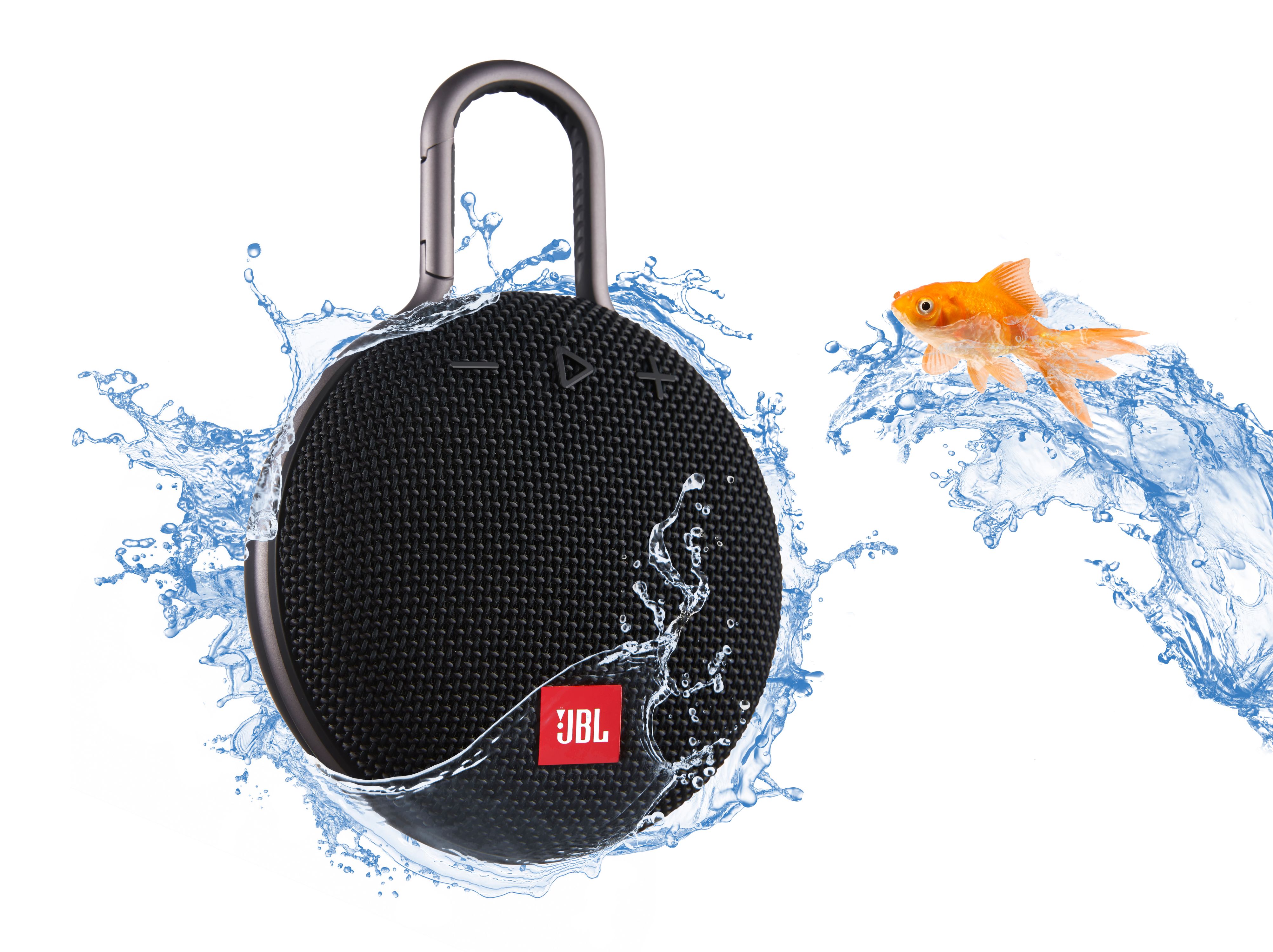 Main-JBL-Fish V1.jpg