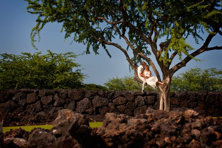 Bride and Groom sitting in a tree...