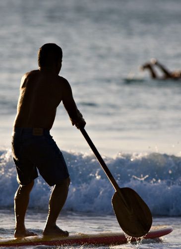 Stand Up Surfer paddles out toward the setting sun: Hanalei Bay, Kauai, Hawaii